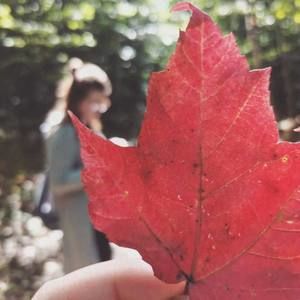 Meet your Posher, Cara